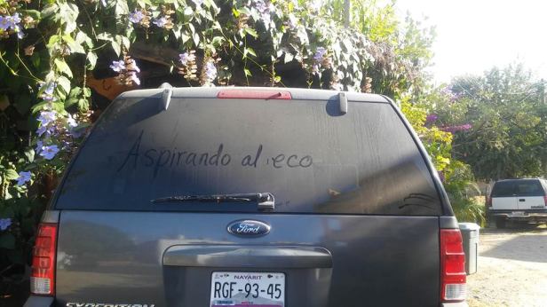 foto animal en polvo